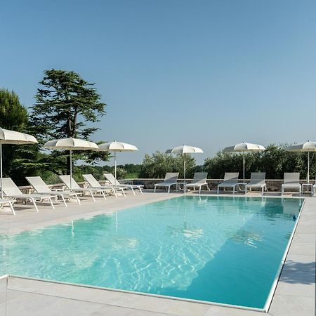 Verdeolivo 1876 - Apartments & Pool Mezzane di Sotto Ngoại thất bức ảnh